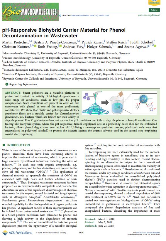 First Page of our full paper "pH-Responsive Biohybrid Carrier Material..."