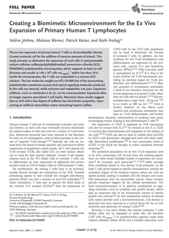 First Page of our full paper "Creating a Biomimetic Microenvironment for the ex vivo Expansion..."